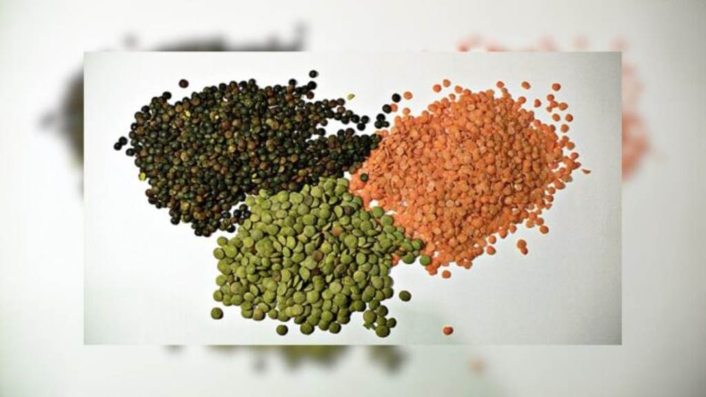 Subsidy will be given for demonstration plants of gram and lentils seed distribution plant and soil conservation management